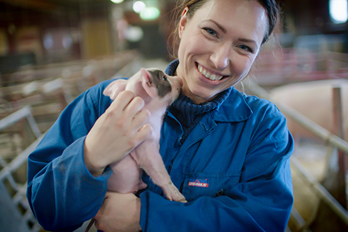 Bild beskrivning saknas