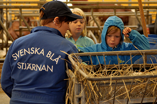 Bild beskrivning saknas